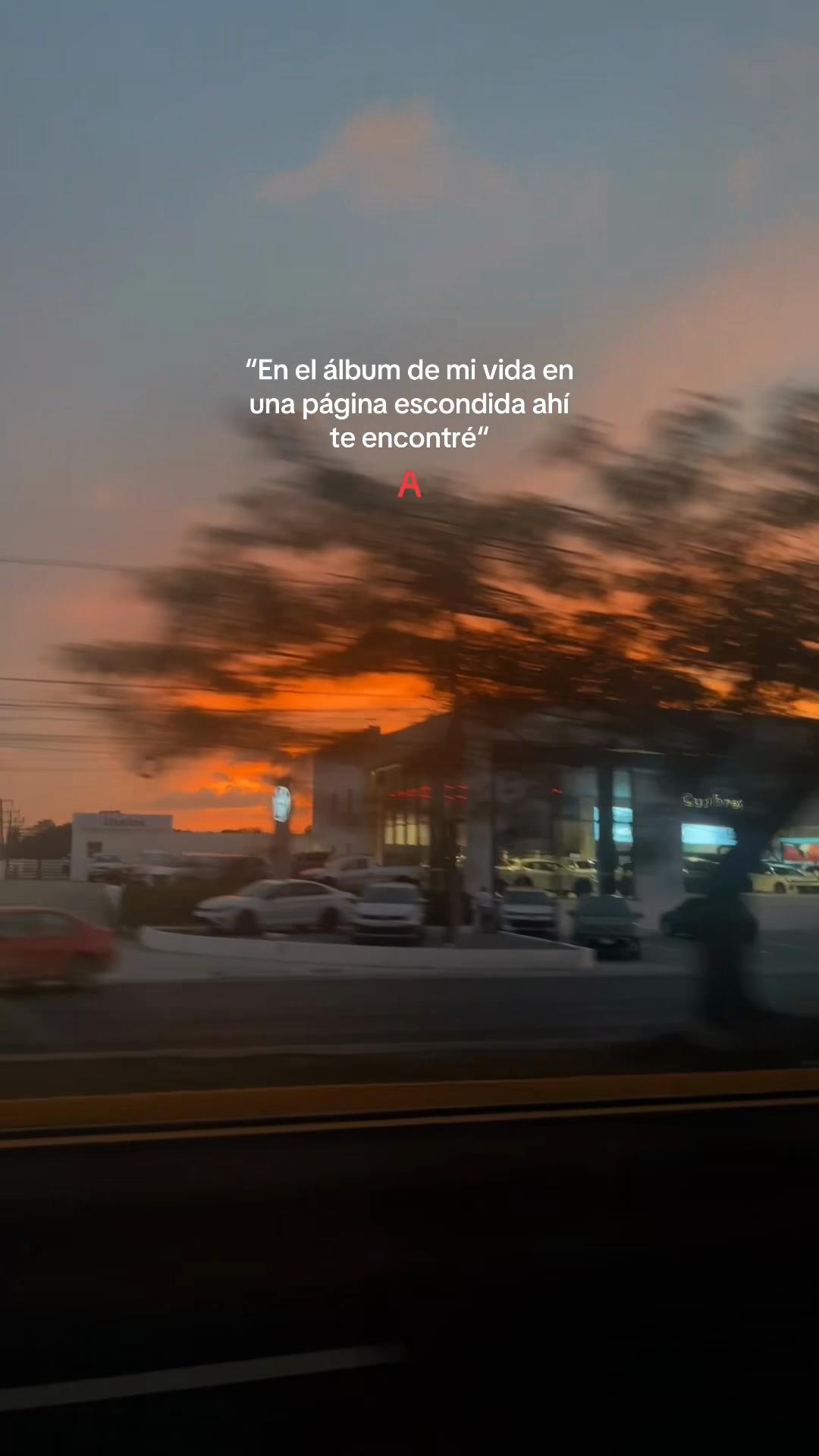 @luz albino 🌸💙