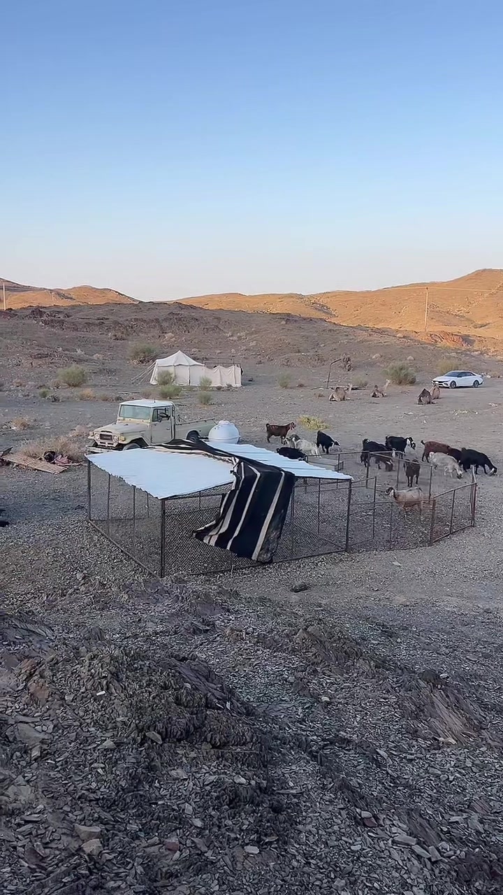 @سليمان البلوي
