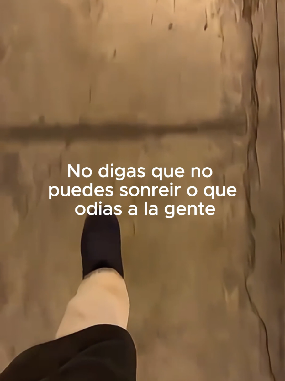 @Tamauta