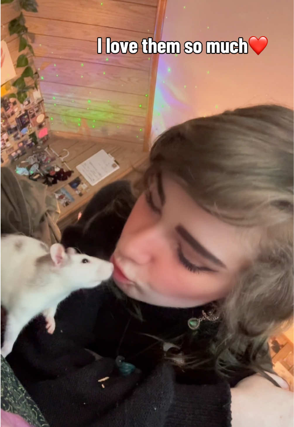 @lookatmyrodents
