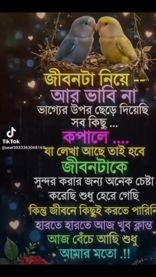 @নিঝুম তারা