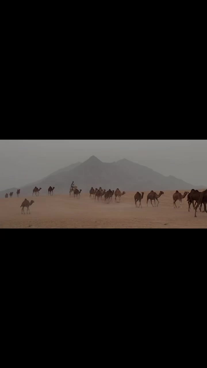 @سـويّـــر