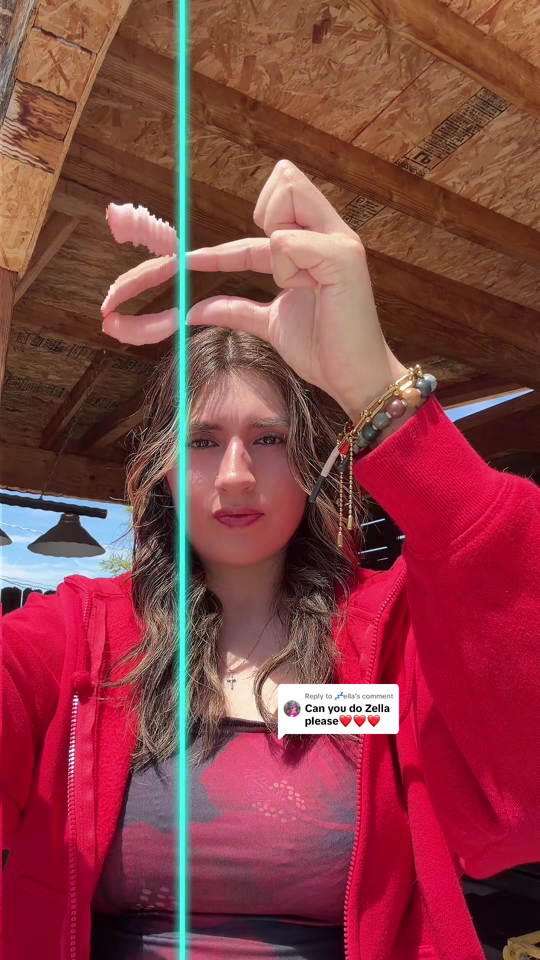 @Marissa Apodaca:)