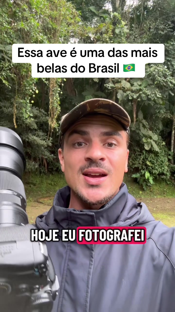 @Vinícius Köhn Pássaros