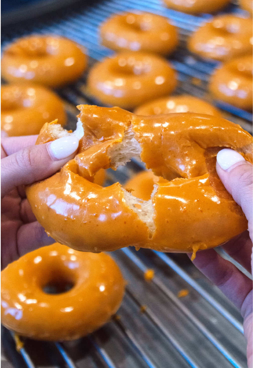 @Krispy Kreme