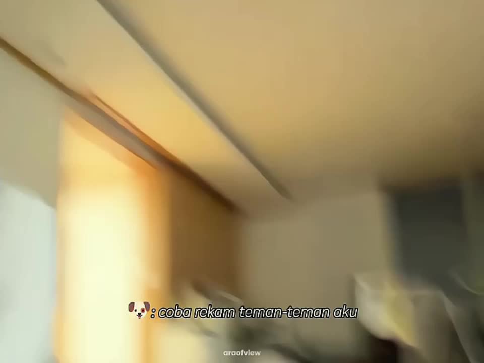 @ara.