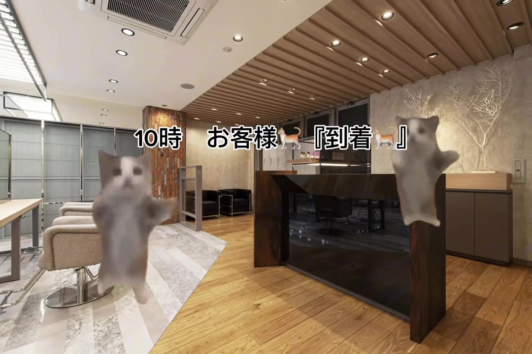 @宙也/原宿/ハイトーンカラー/ハッシュカット/ウルフカット
