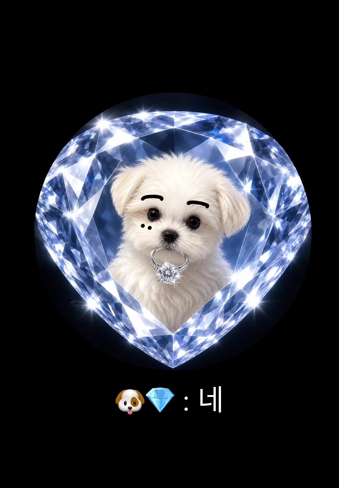@PUPPY