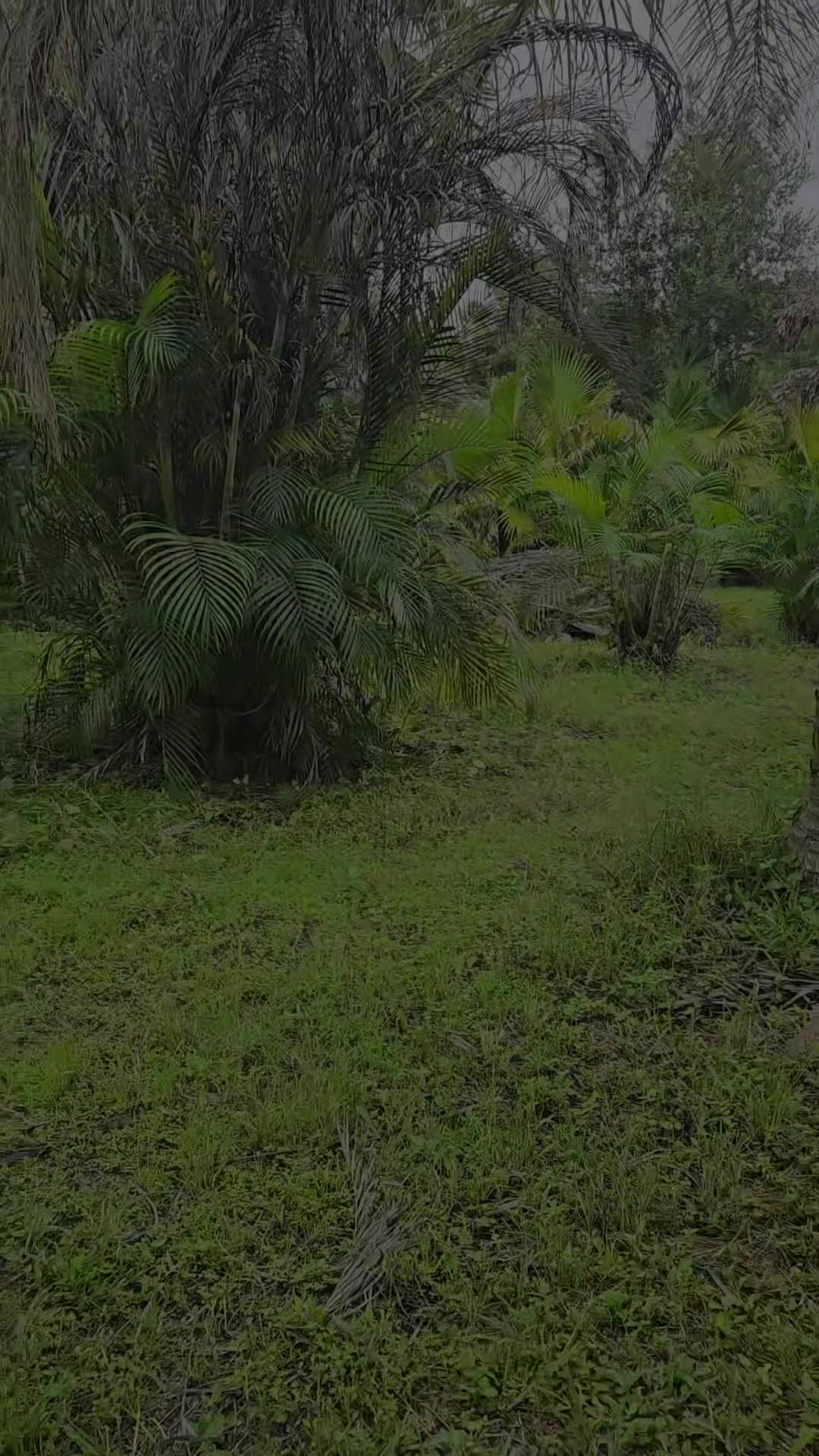 @Maria Pedro