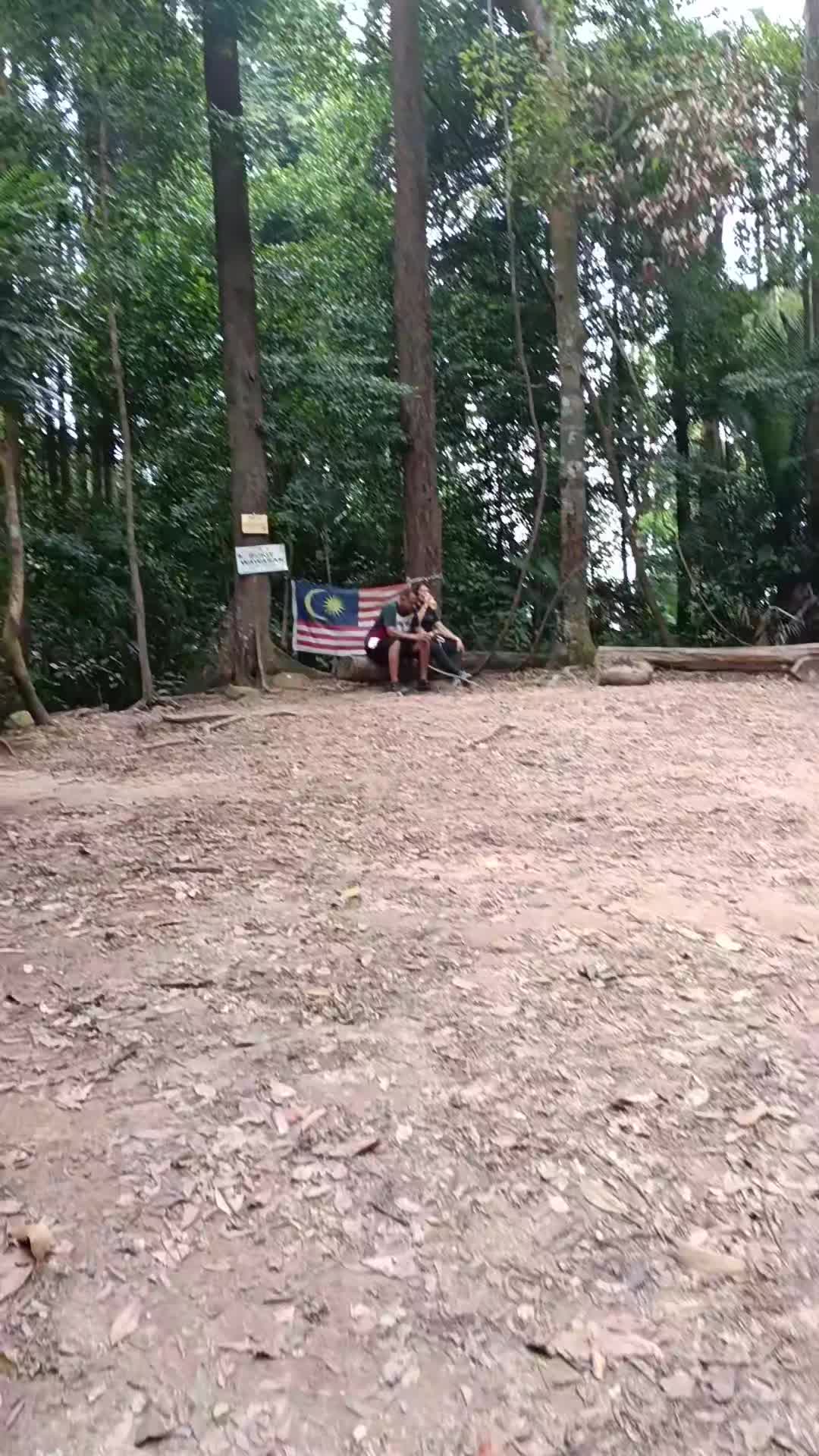 @jijo78
