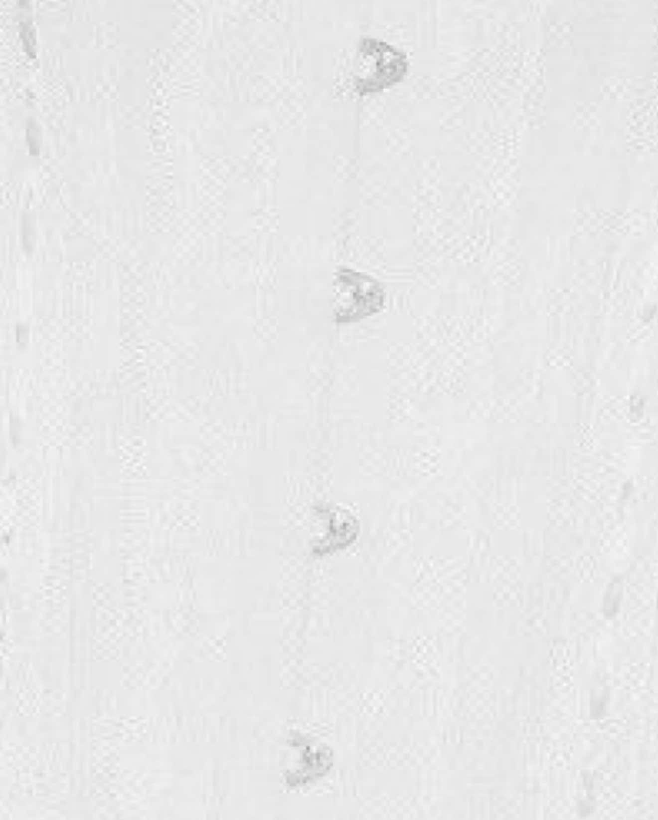 @ᴇᴀꜱᴛᴇʀᴍᴀɴꜱʟᴀᴍʙ