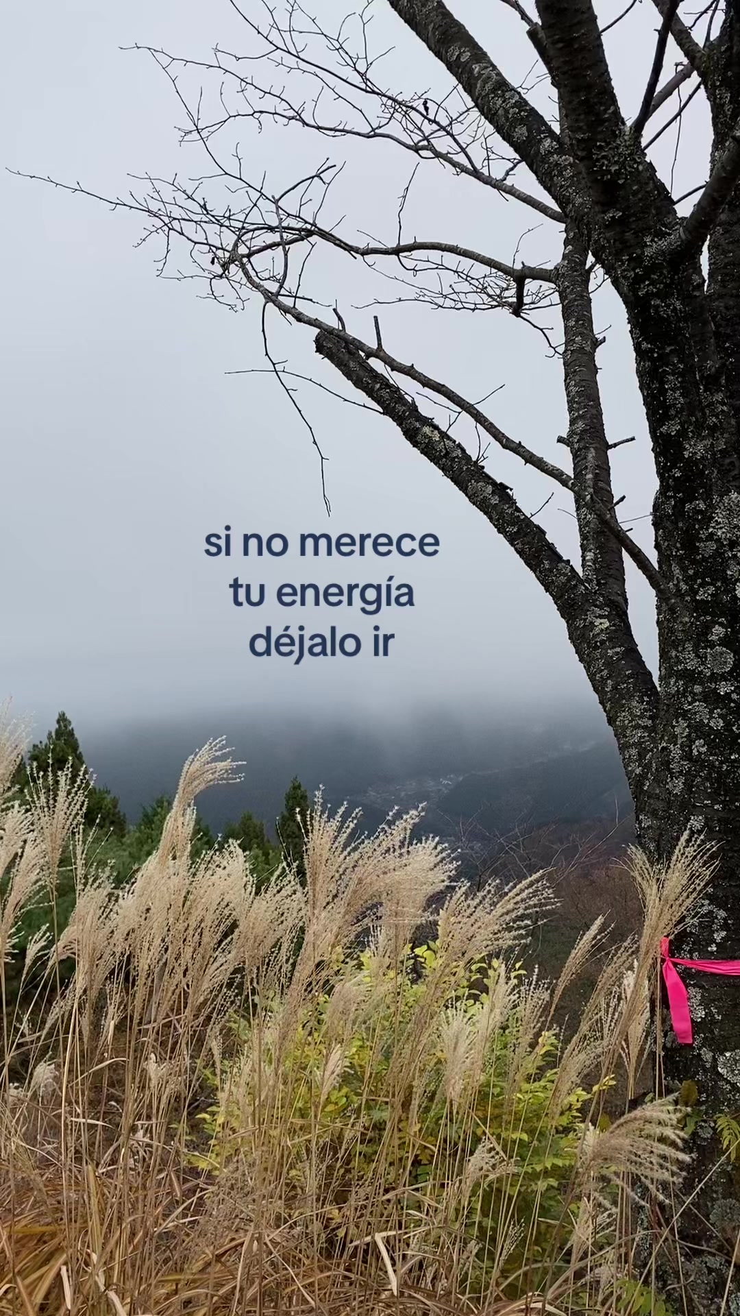 @CaracolArchives