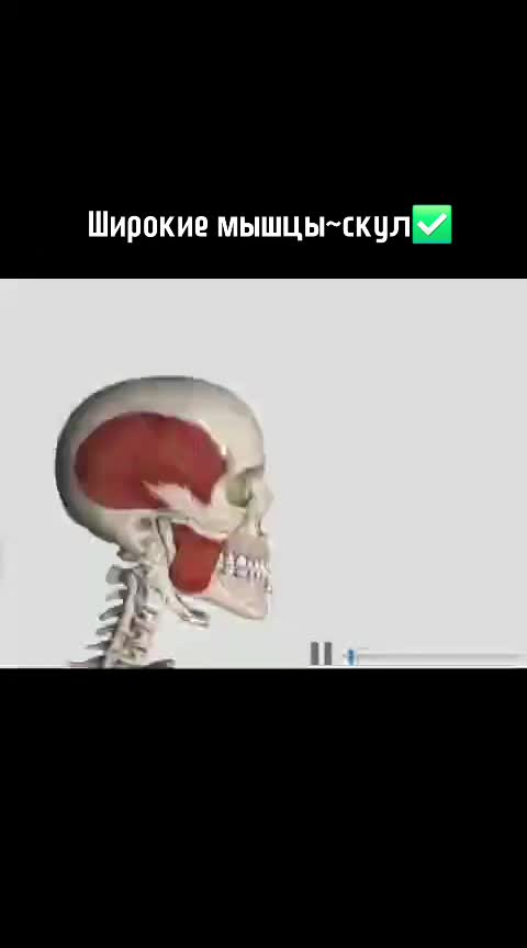 @Здоровый позвоночник♡Юж.Корея