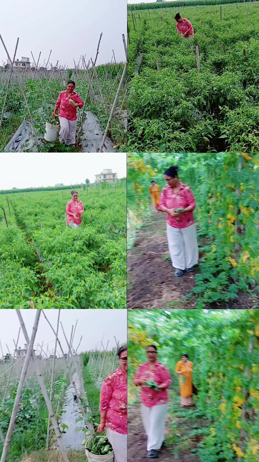@Devi Dhakal