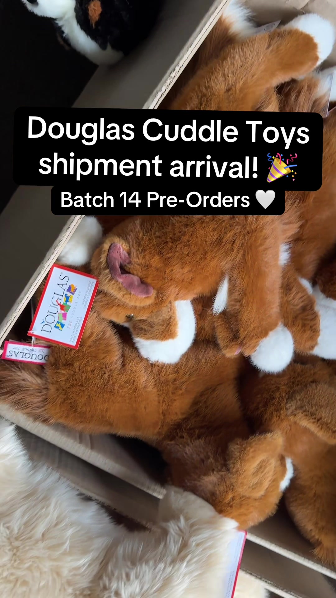 @Wonder Wolf Plush
