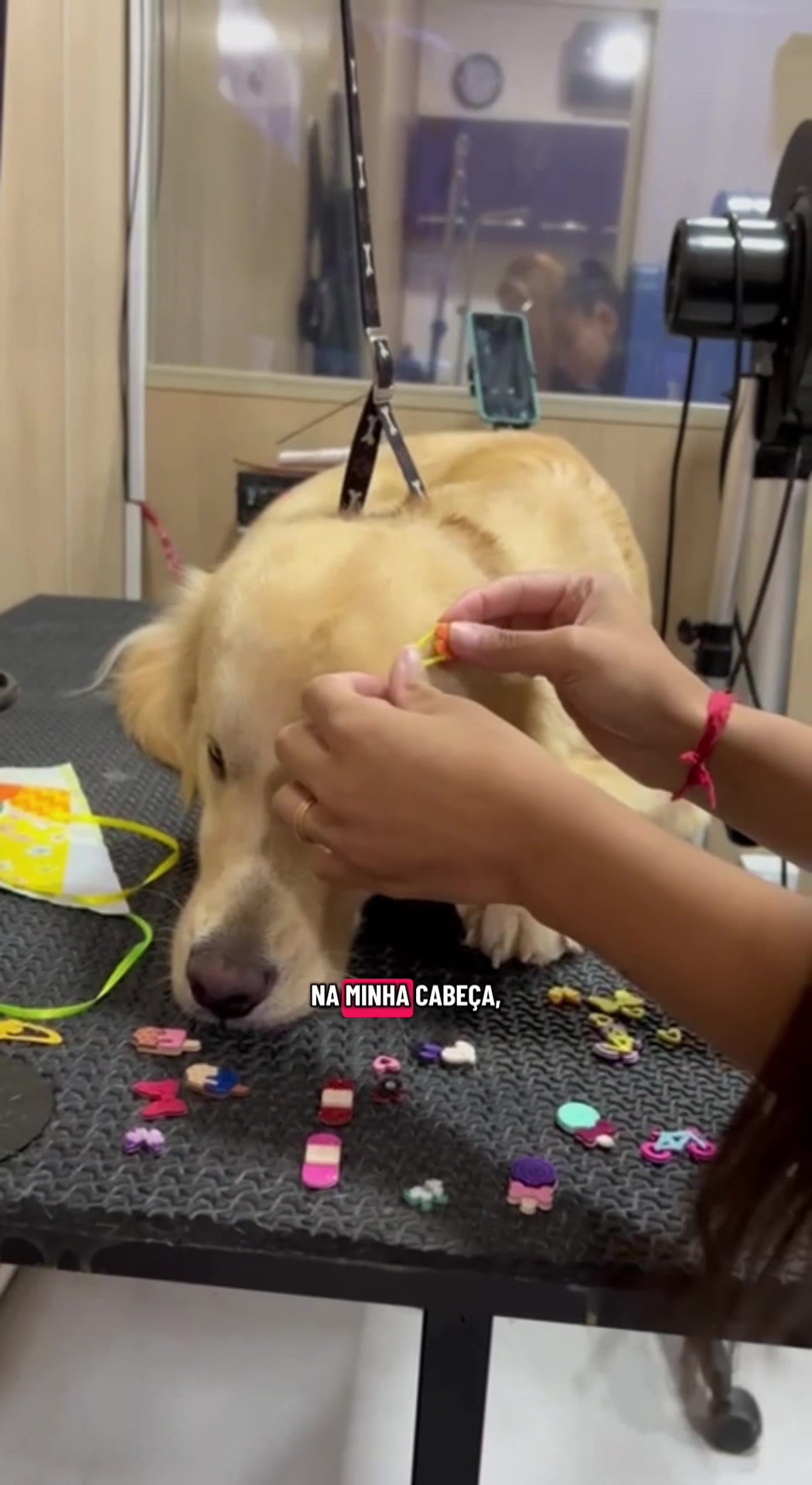 @Docinho, a golden especial.