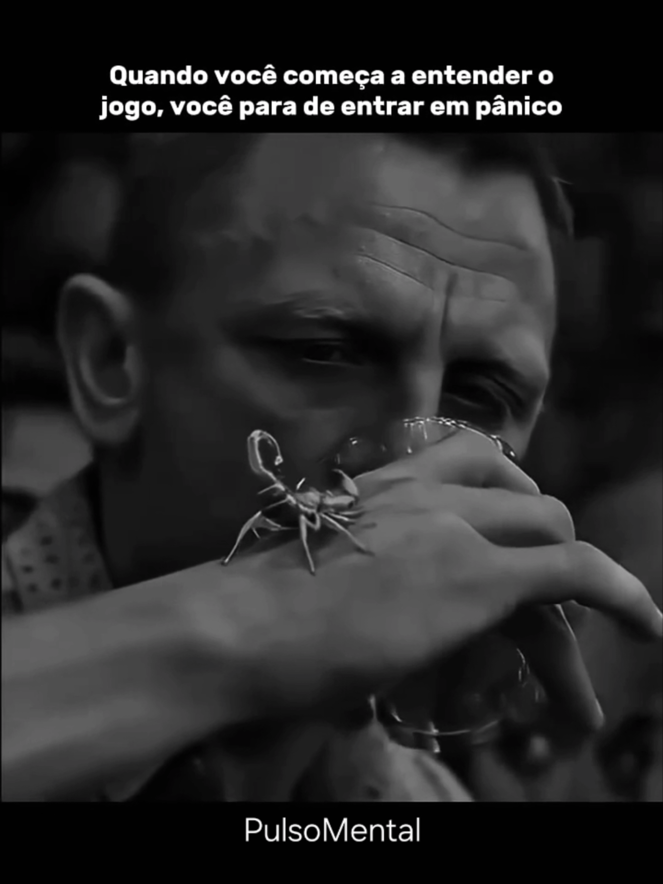 @Pulso Mental