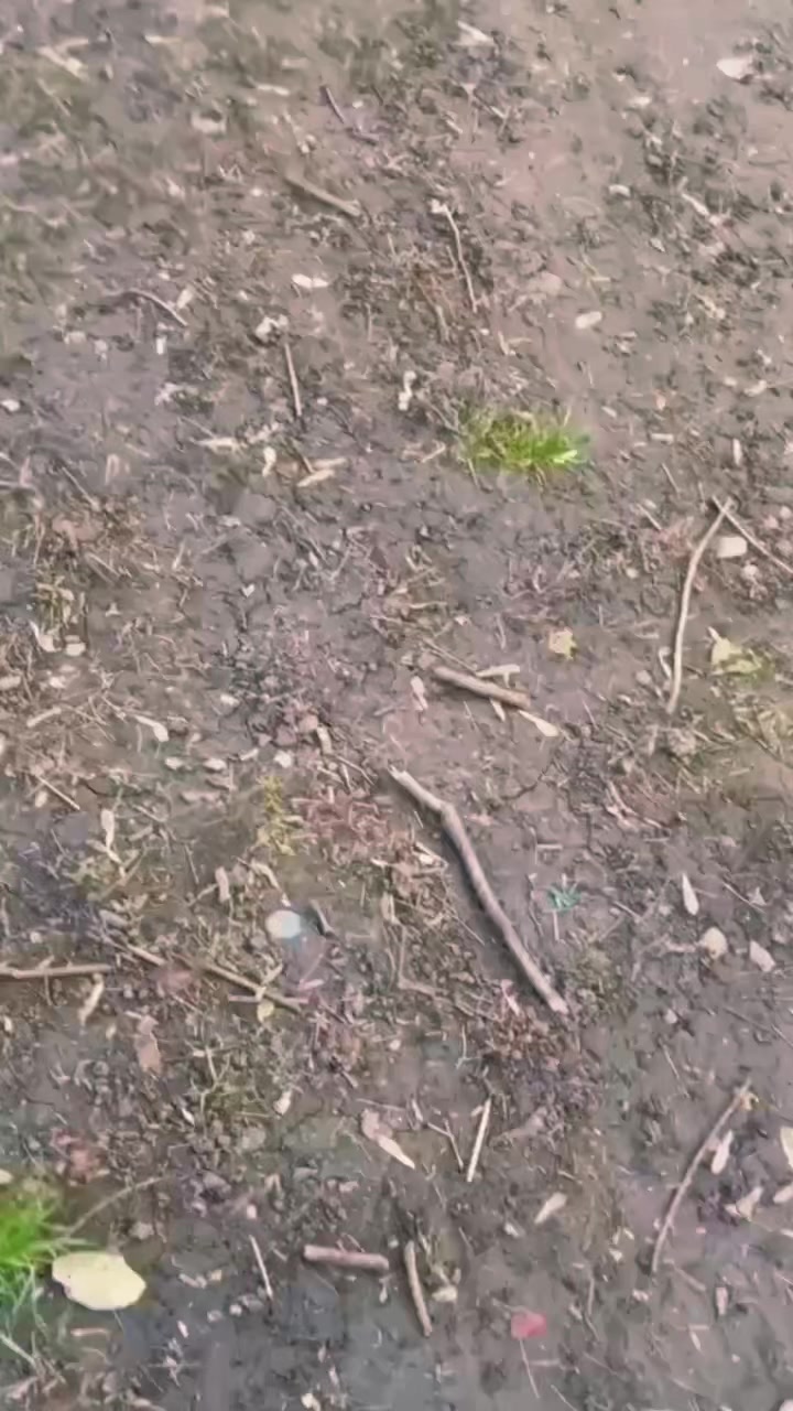 @тгк-@moto48skut