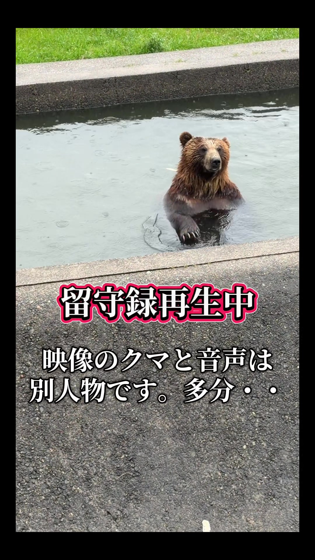 @Rin-na