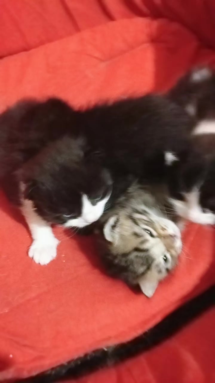 @Mavi Tektaş