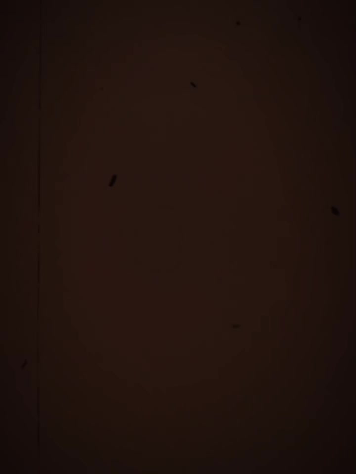 @꧁𖤍𖤓🅹🆄🆆🅴🅻 🅰🅷🅼🅴🅳 𖤓?