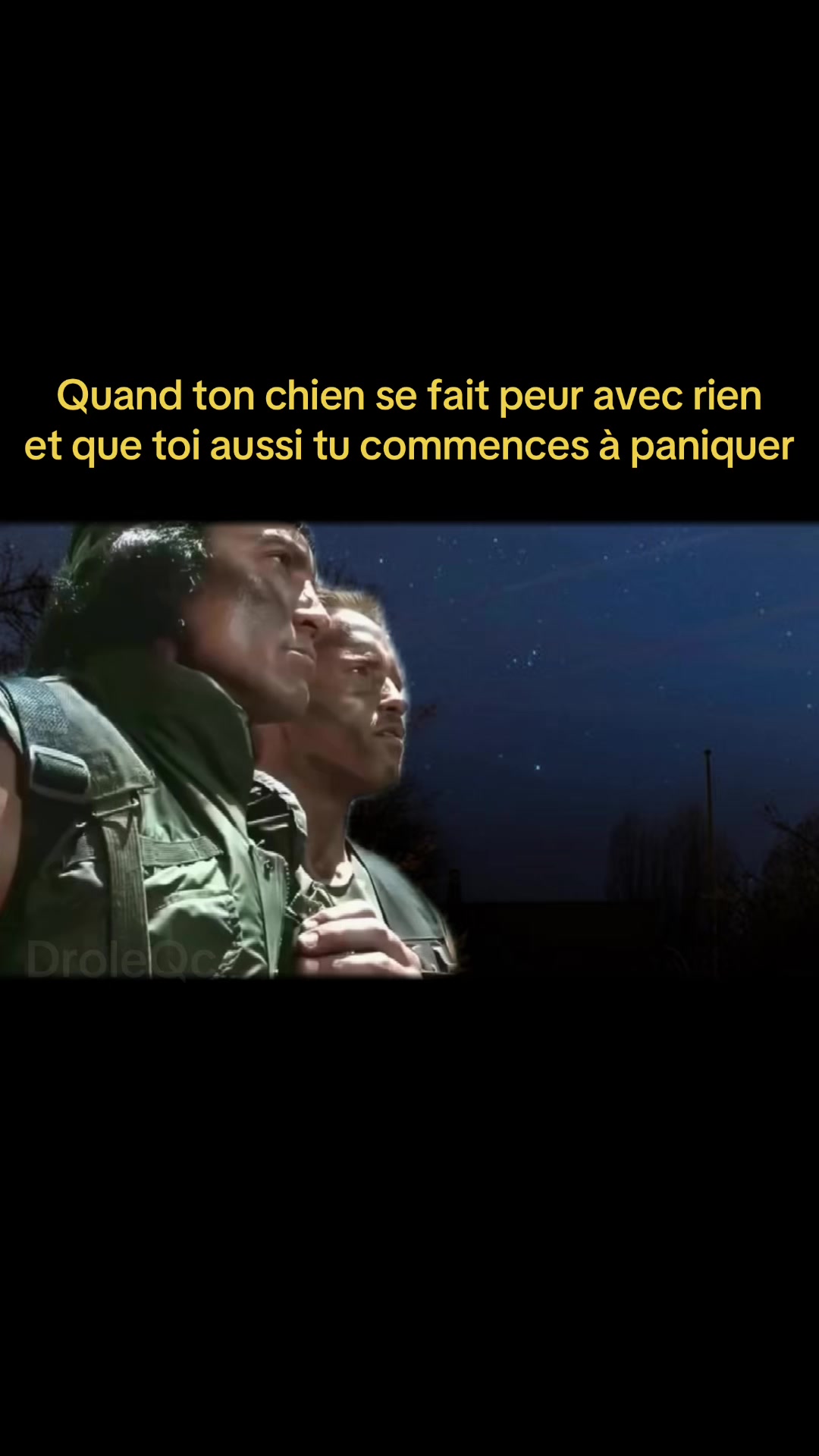 @Drôle Qc 🤣