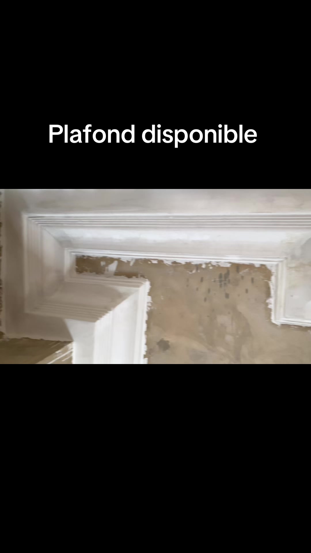 @Plafond 241✪🦺