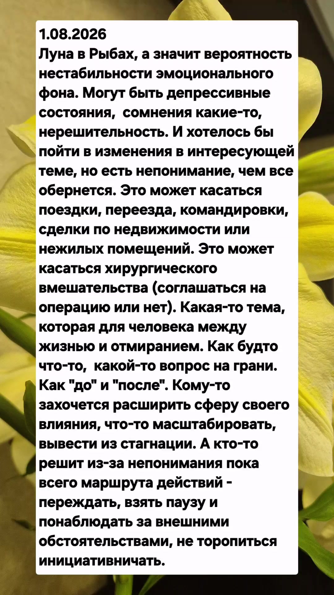 @KarinaAsh7777