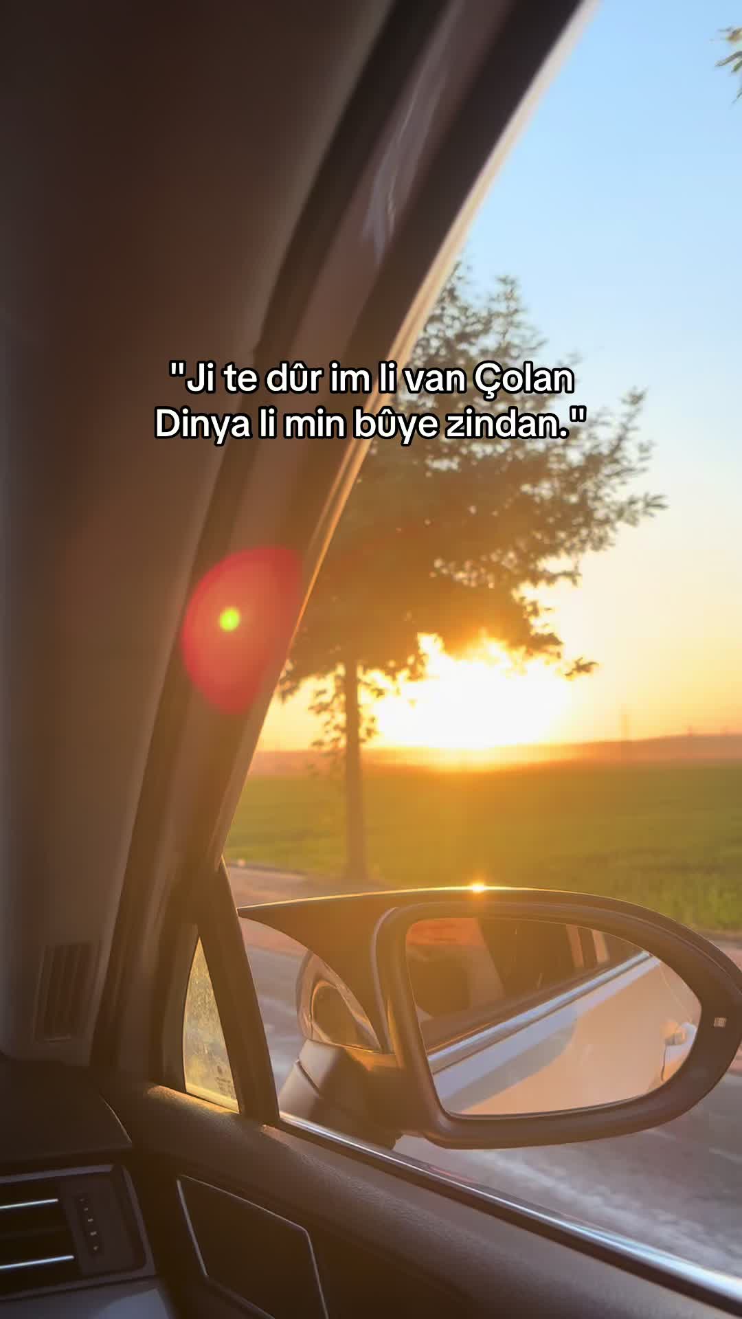 @Xexexe