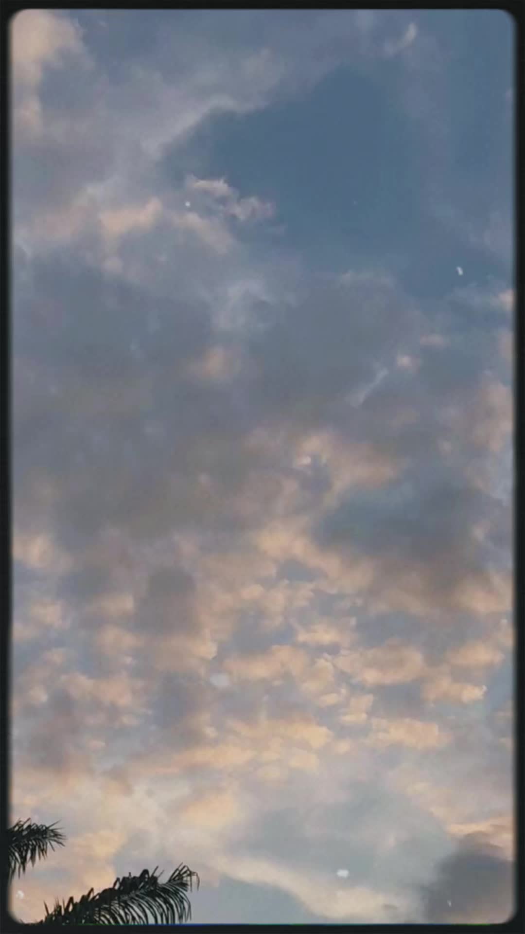 @Neela 1206🕊️❤️🕊️moon