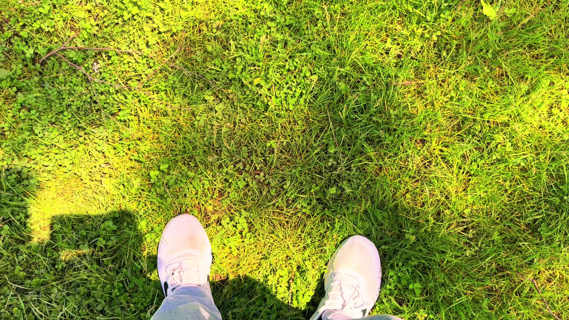 @𝓜𝓞𝓣𝓞𝓛𝓐𝓝𝓓