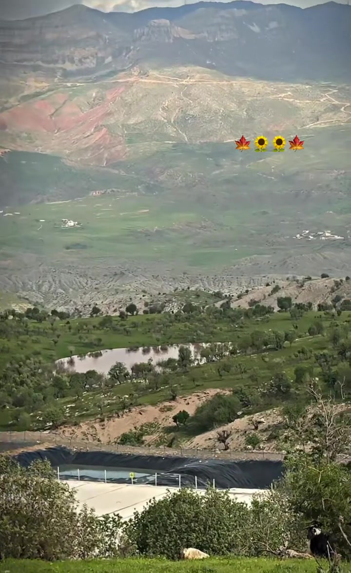 @ŞİYAR ✪