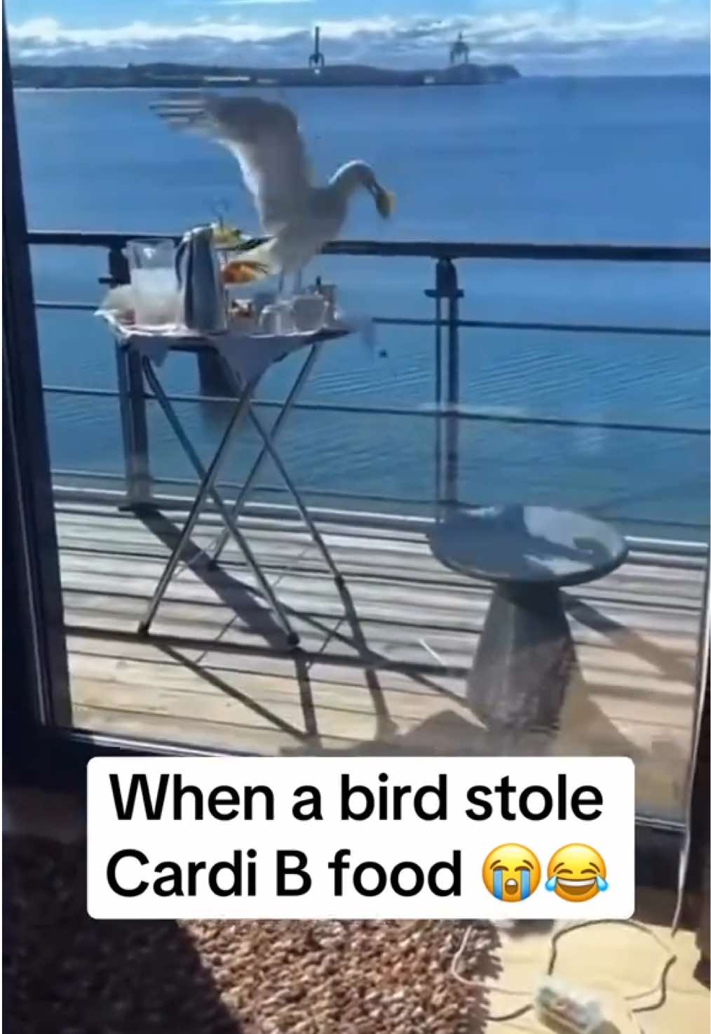 @kxngcardo