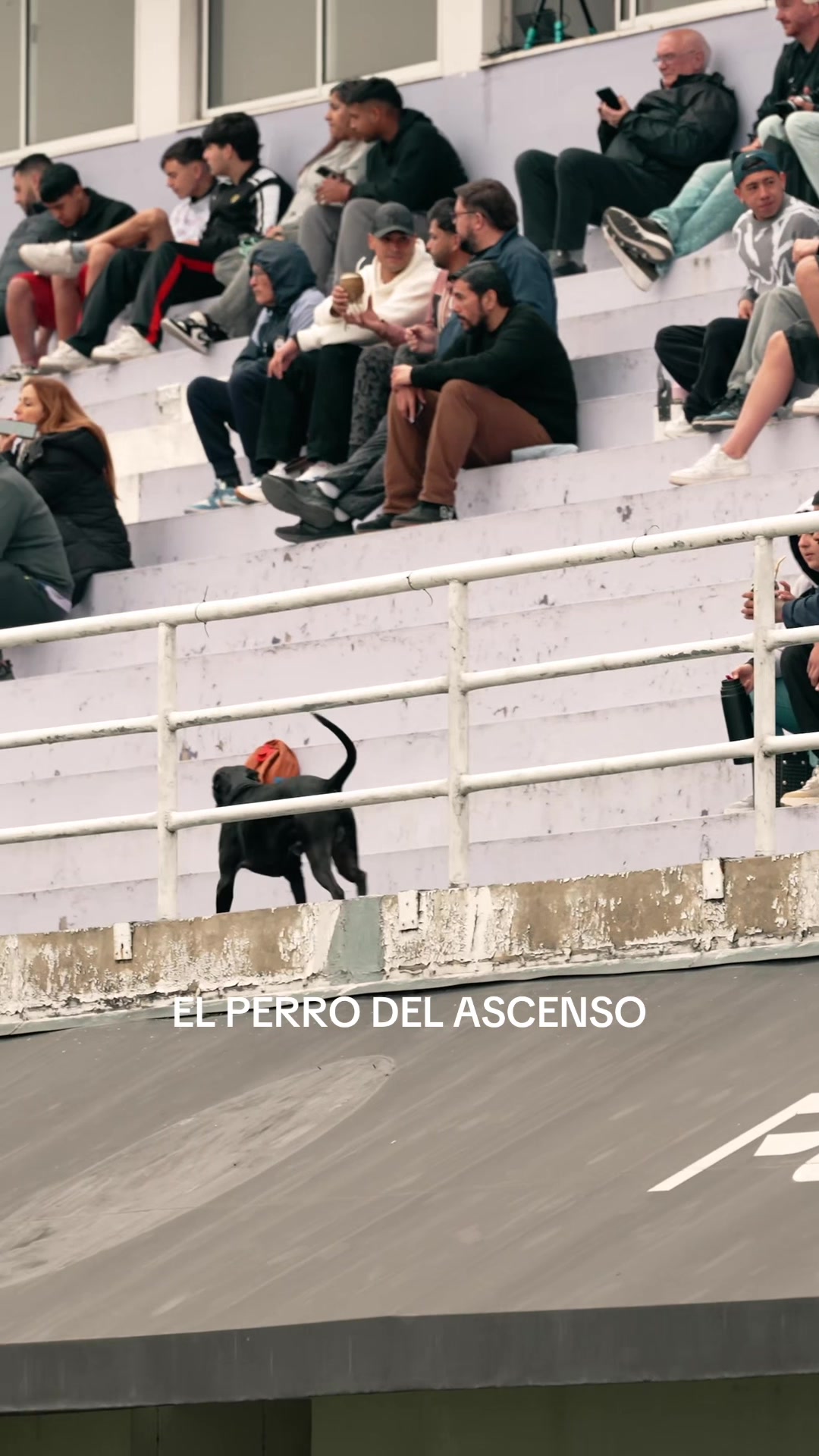 @Nico Ieraci