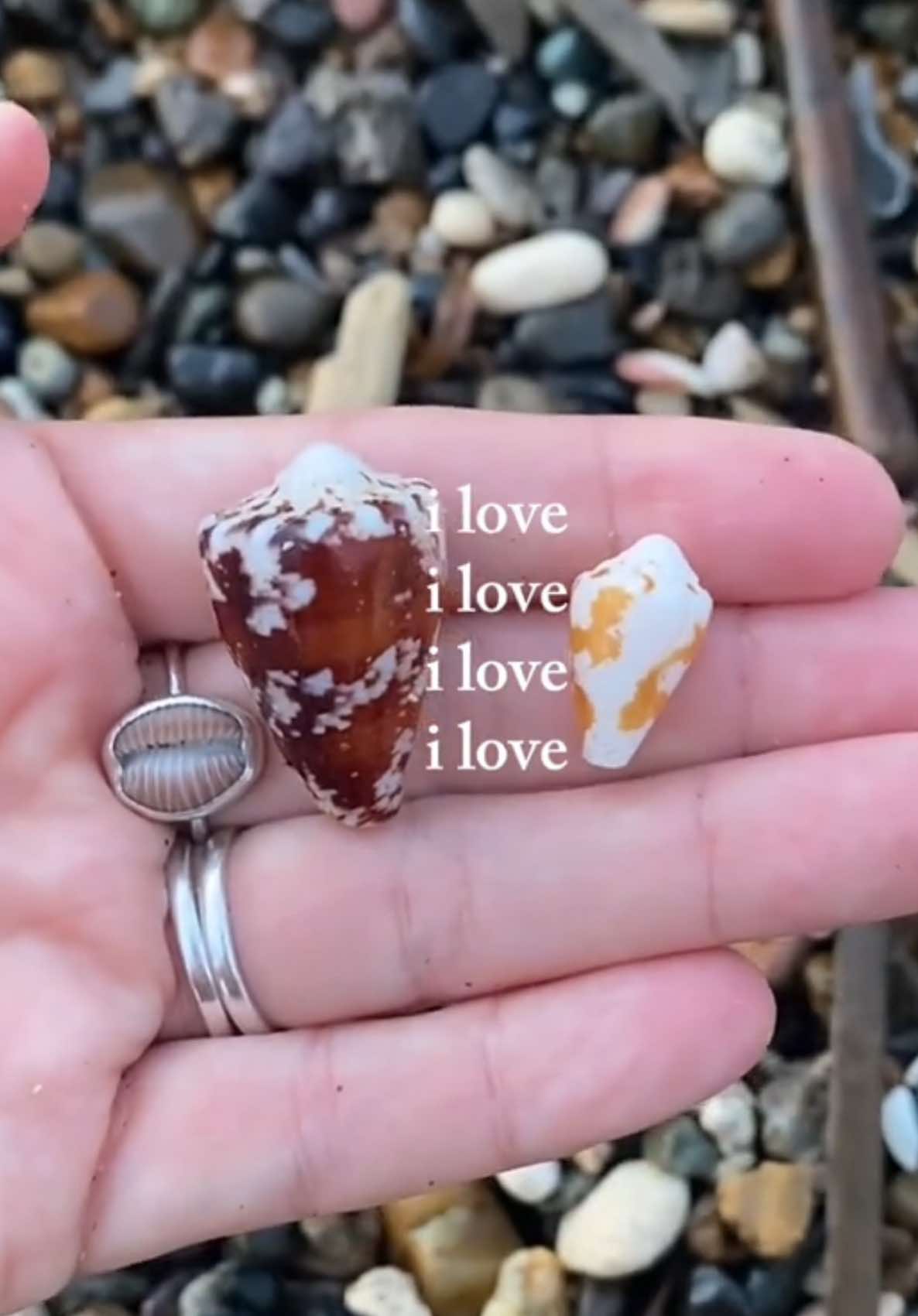 @🐚Jojo🌴