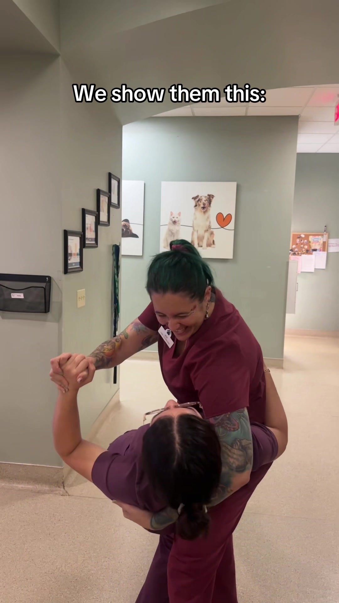@Dreaming Summit Animal Hosp