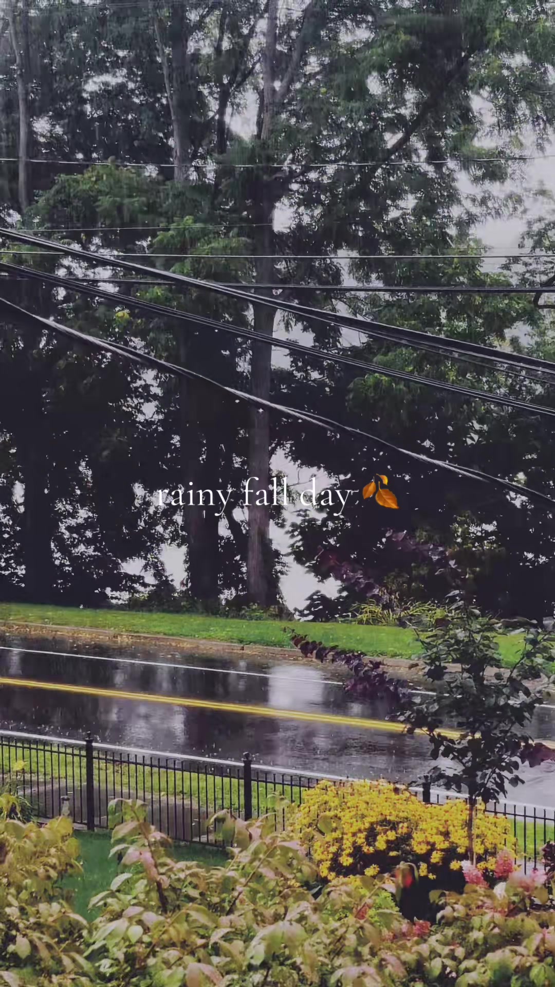@Esther 🌻🤍