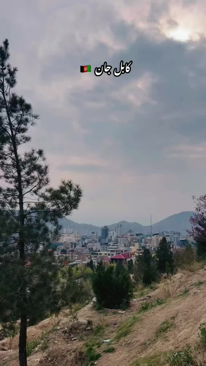 @AFG_ZADRAN_1