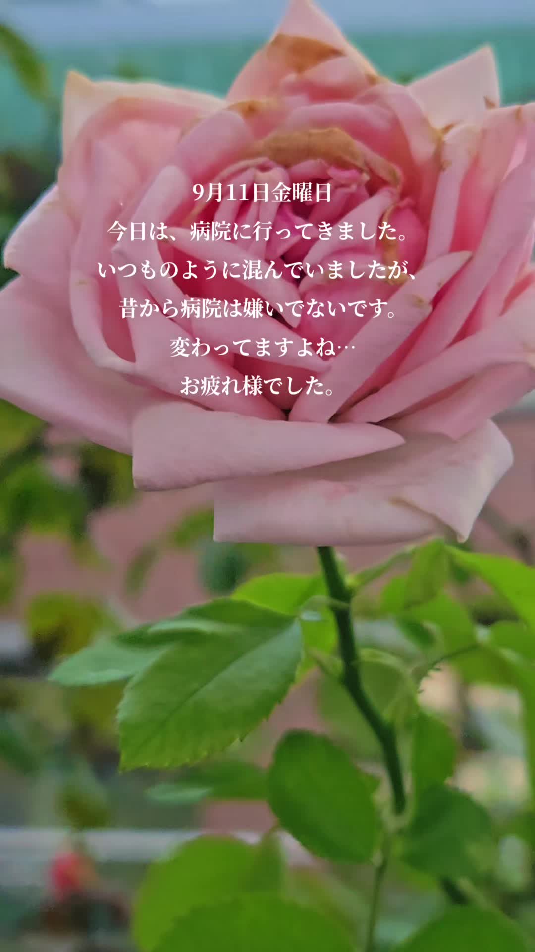 @y