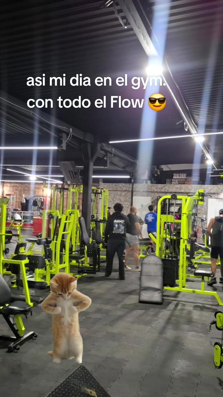 @BatorGym#1