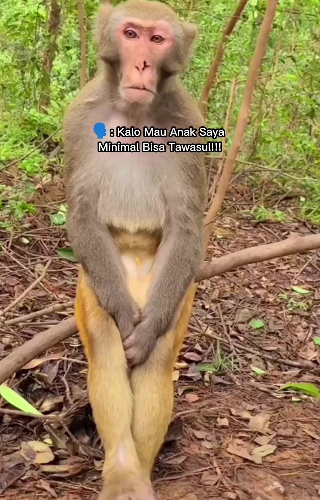@GEN_ABU