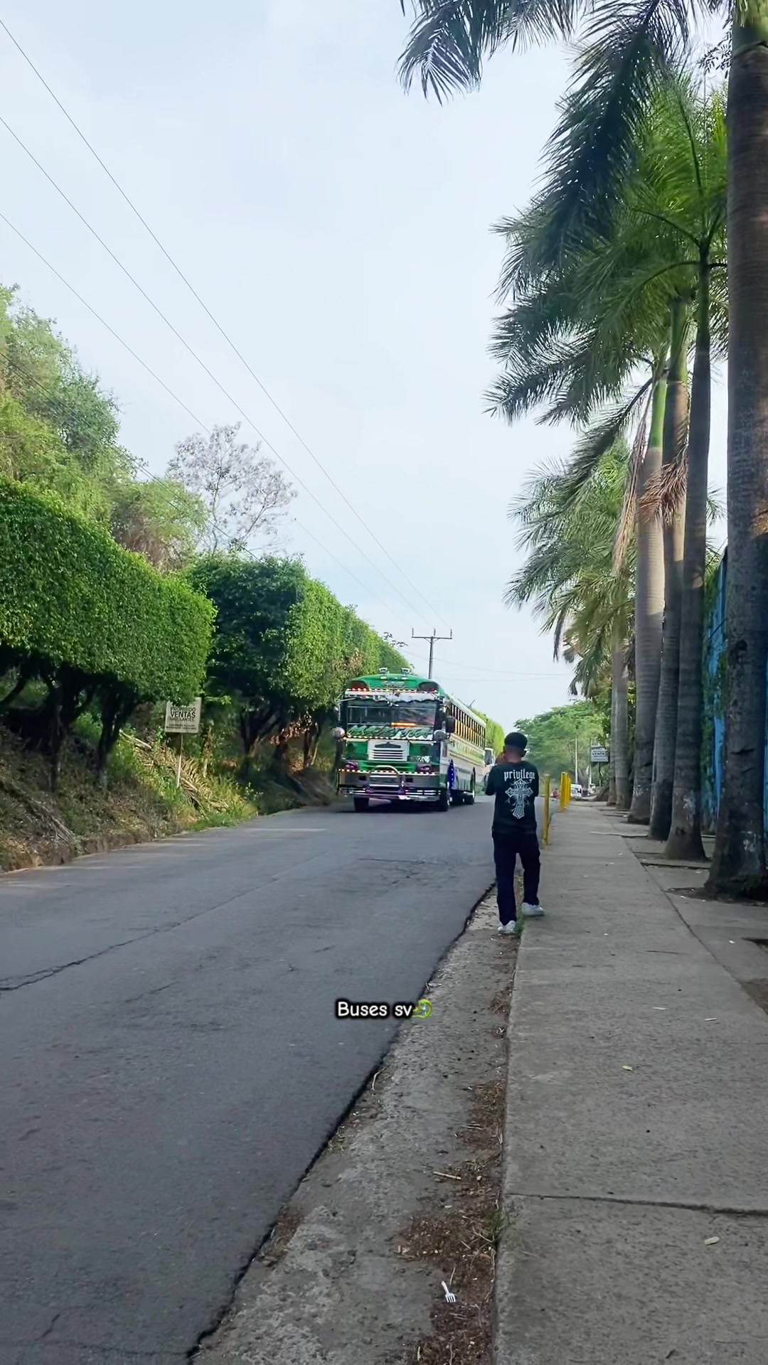 @buses.salvadoreños🎭❤️🔥