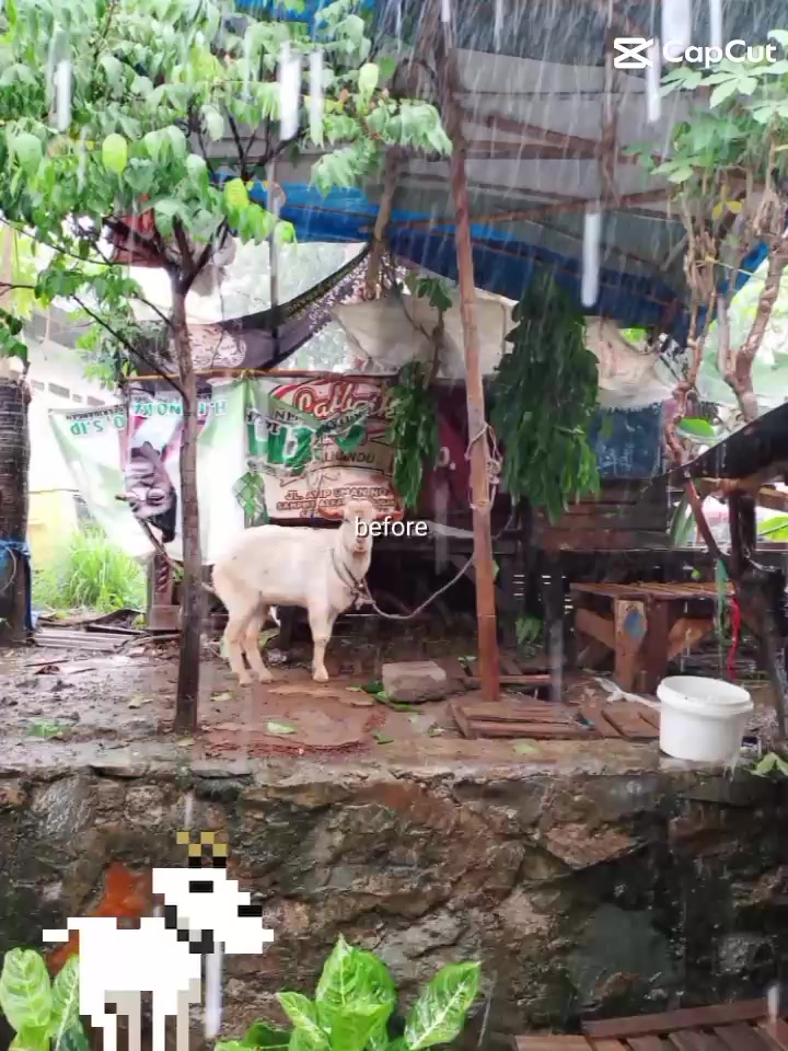 @GROW A GARDEN ⛎