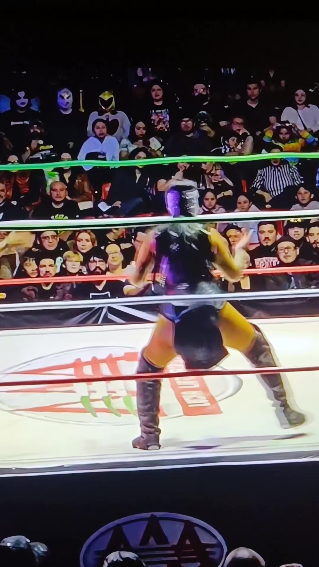 @ALEX_LUCHA LIBRE FEMENIL
