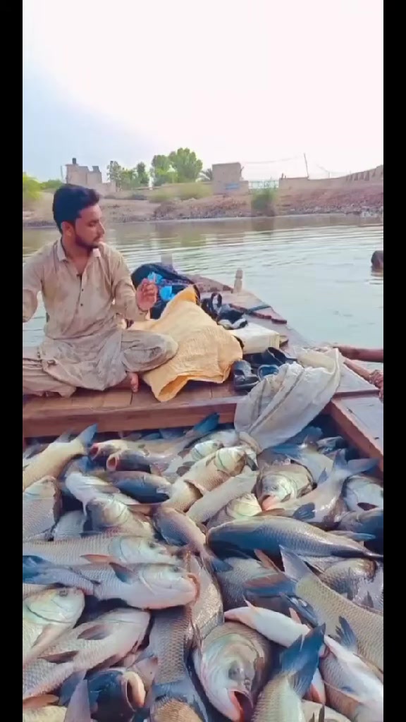 @Mirani Sb