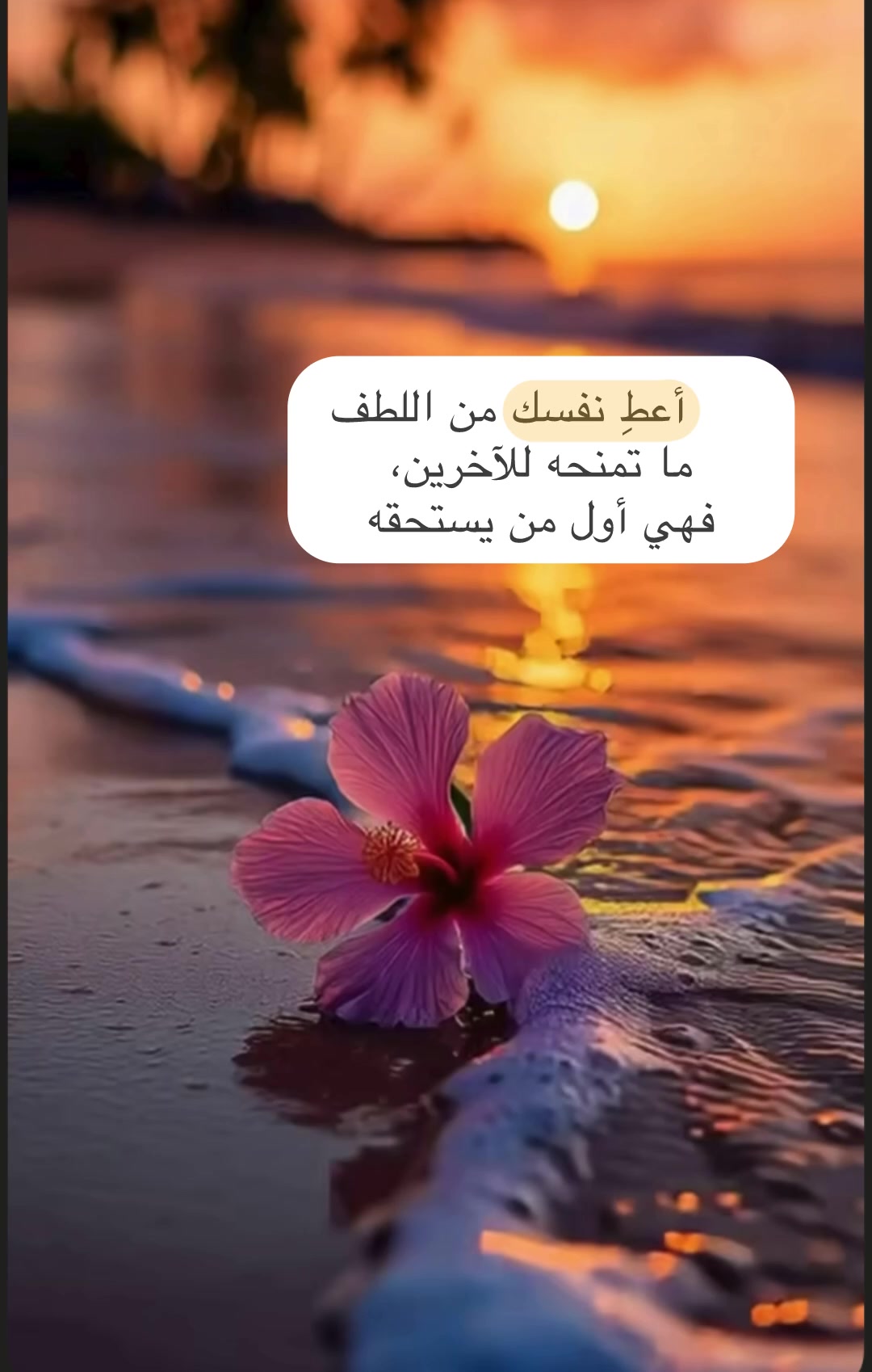 @خواطر مقتبسة 🕯️