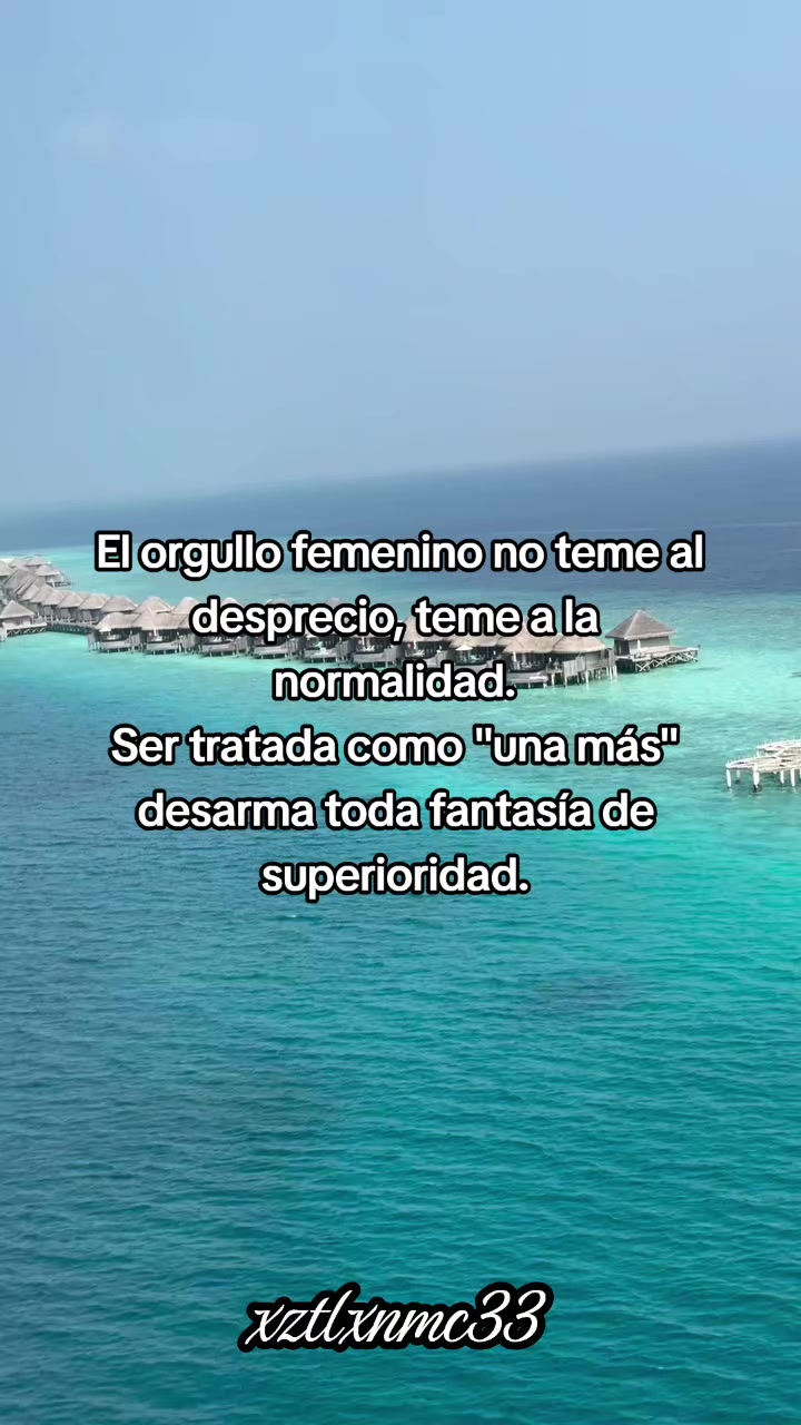 @xztlxnmc33