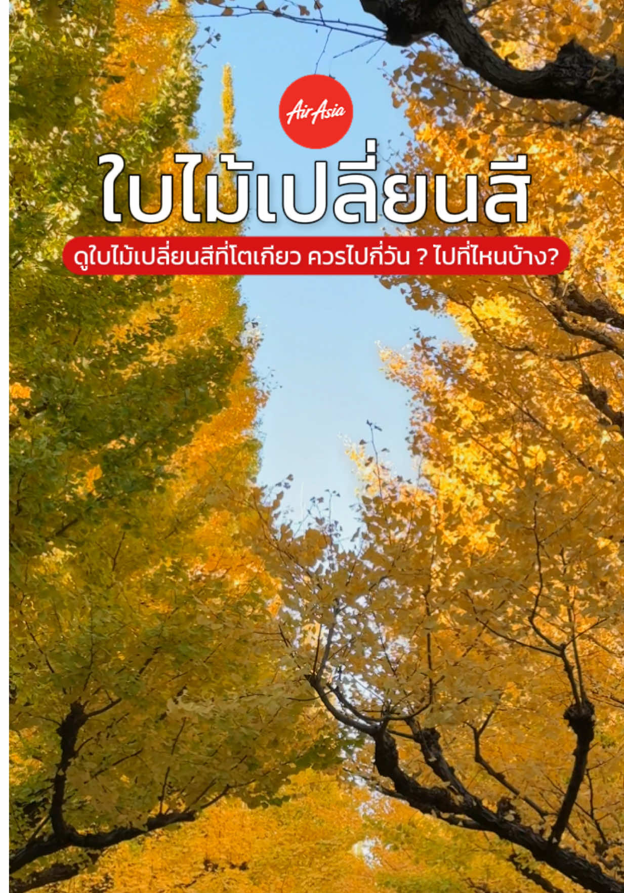 @เปากับเกิร์ล🍰✈️