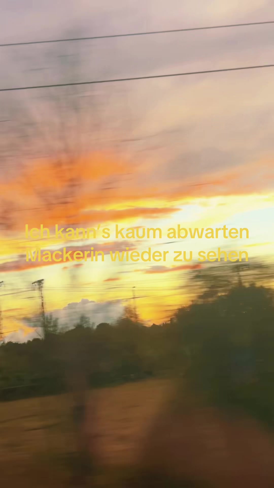 @⋆˚࿔ 𝐎𝐬𝐜𝐚𝐤𝐞𝜗𝜚˚