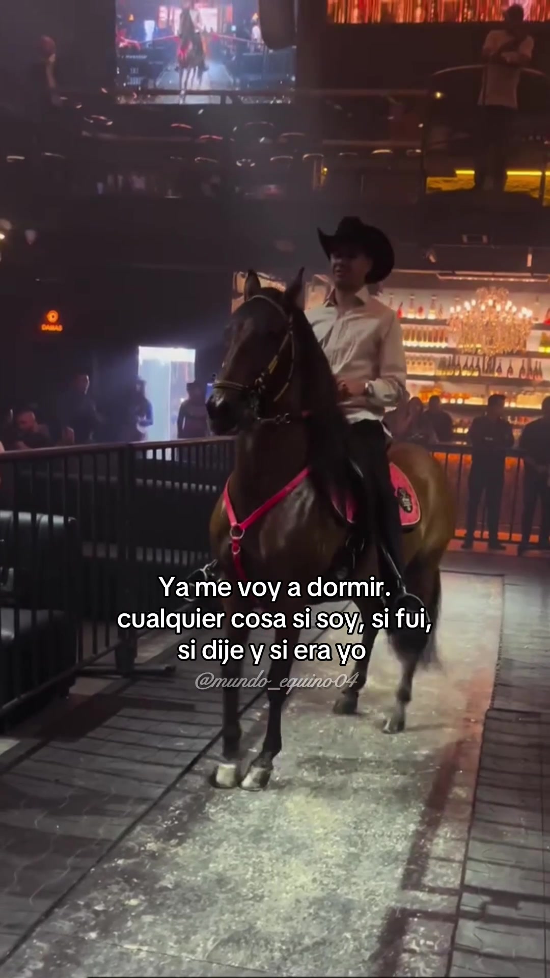 @mundo_equino04